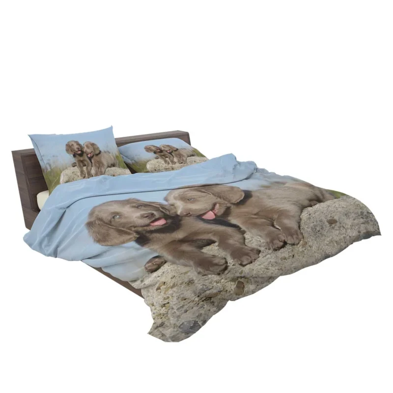 Four Adorable Weimaraner Puppies: Weimaraner Quartet Bedding Set 2