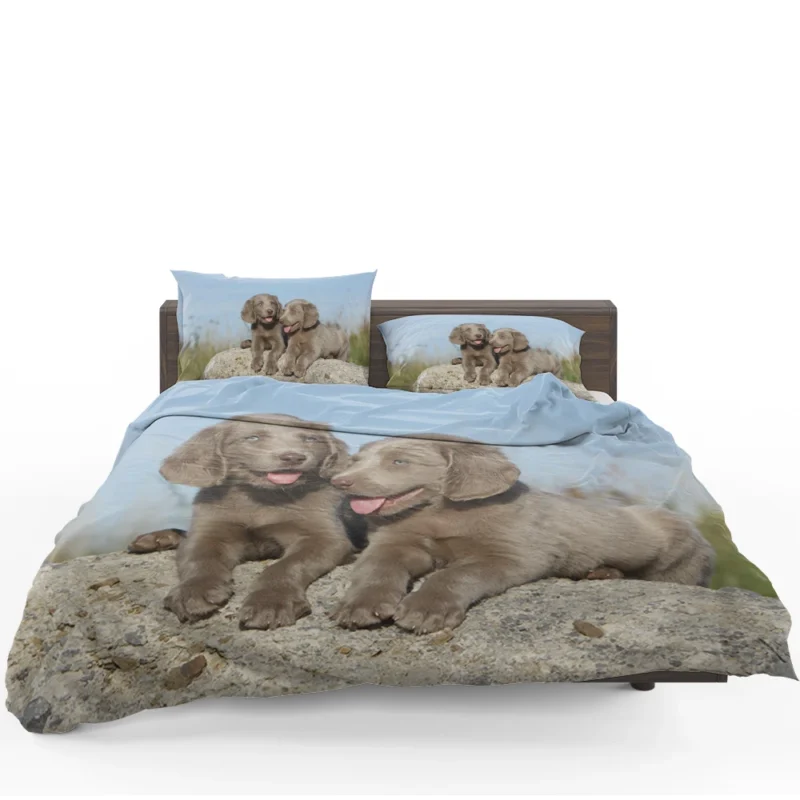 Four Adorable Weimaraner Puppies: Weimaraner Quartet Bedding Set