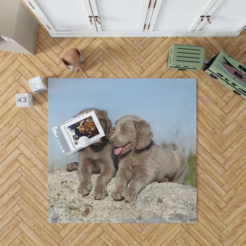 Four Adorable Weimaraner Puppies: Weimaraner Quartet Floor Rug