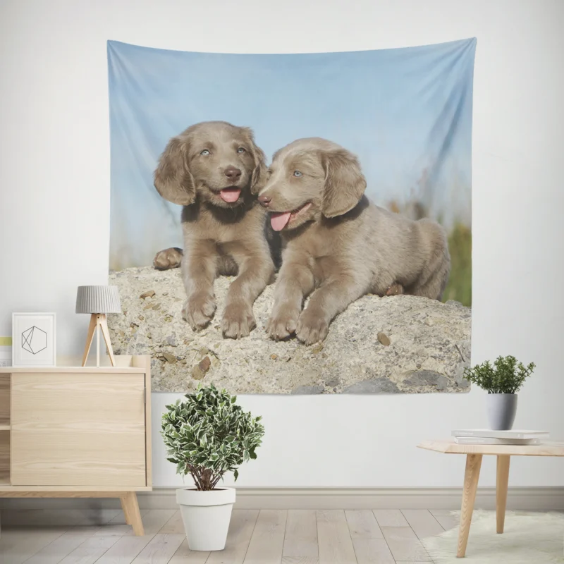 Four Adorable Weimaraner Puppies  Weimaraner Quartet Wall Tapestry