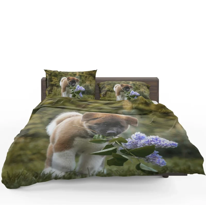 Four Majestic Akita Puppies in an Artful Quartet Bedding Set