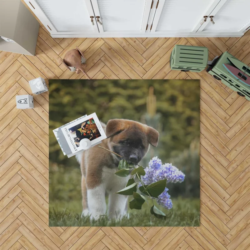 Four Majestic Akita Puppies in an Artful Quartet Floor Rug