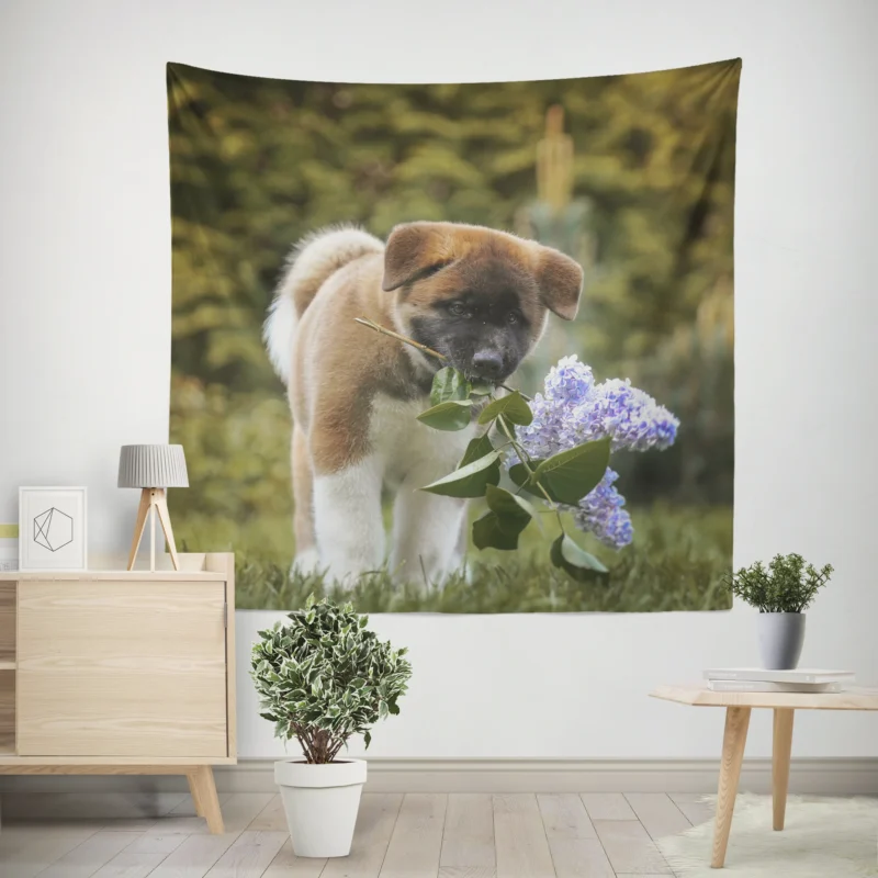 Four Majestic Akita Puppies in an Artful Quartet Wall Tapestry