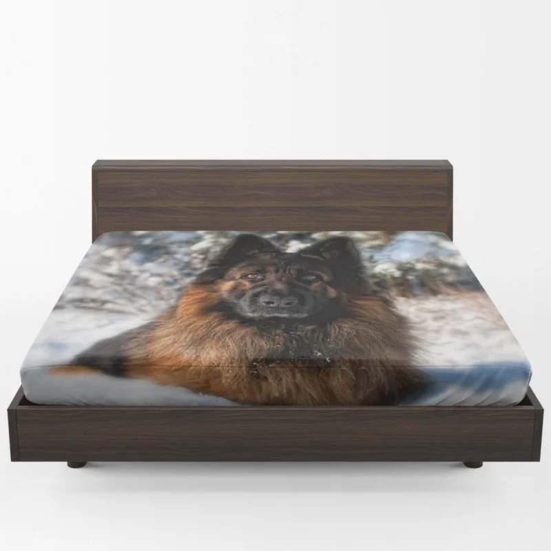 Four Majestic German Shepherds Unite Fitted Sheet 1