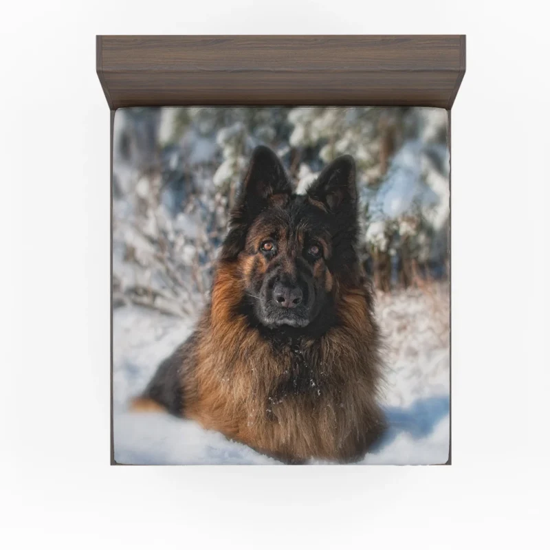 Four Majestic German Shepherds Unite Fitted Sheet