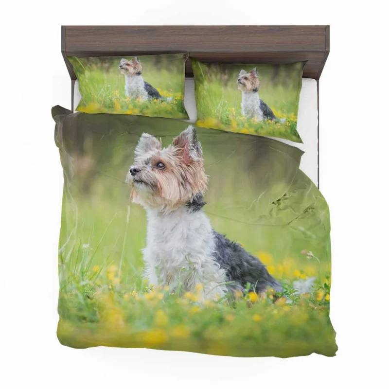 Four Pockets of Cuteness: Yorkshire Terrier Quartet Bedding Set 1