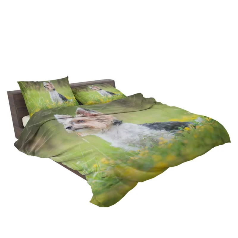 Four Pockets of Cuteness: Yorkshire Terrier Quartet Bedding Set 2