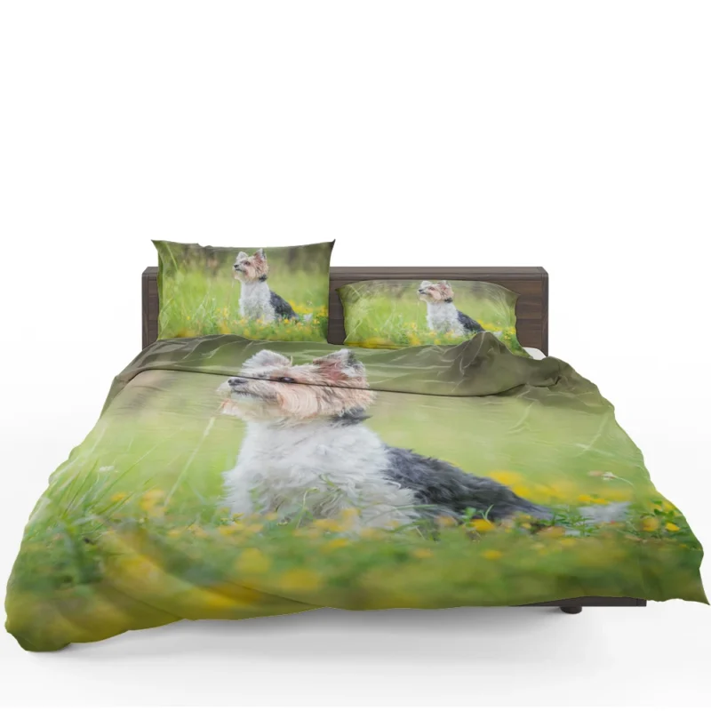 Four Pockets of Cuteness: Yorkshire Terrier Quartet Bedding Set