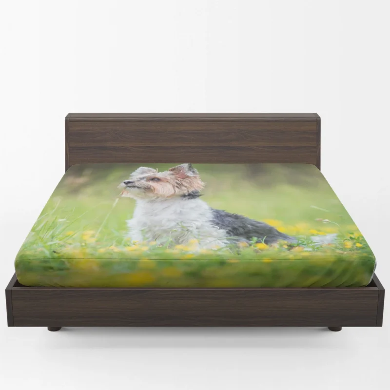 Four Pockets of Cuteness: Yorkshire Terrier Quartet Fitted Sheet 1