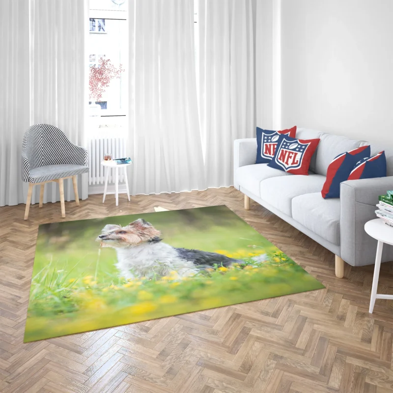 Four Pockets of Cuteness: Yorkshire Terrier Quartet Floor Rug 2