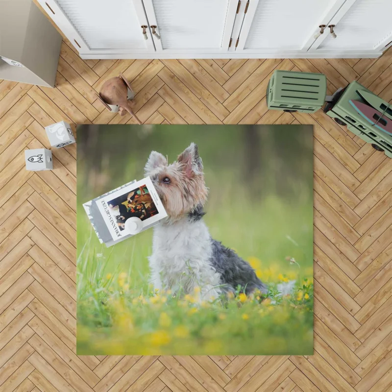 Four Pockets of Cuteness: Yorkshire Terrier Quartet Floor Rug