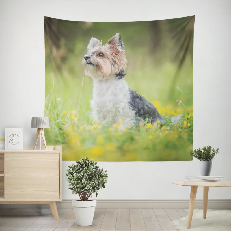 Four Pockets of Cuteness  Yorkshire Terrier Quartet Wall Tapestry