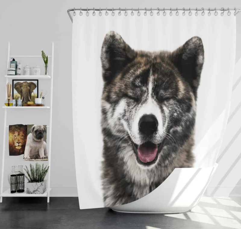 Fourfold Akita Charm: Quartet Allure Shower Curtain