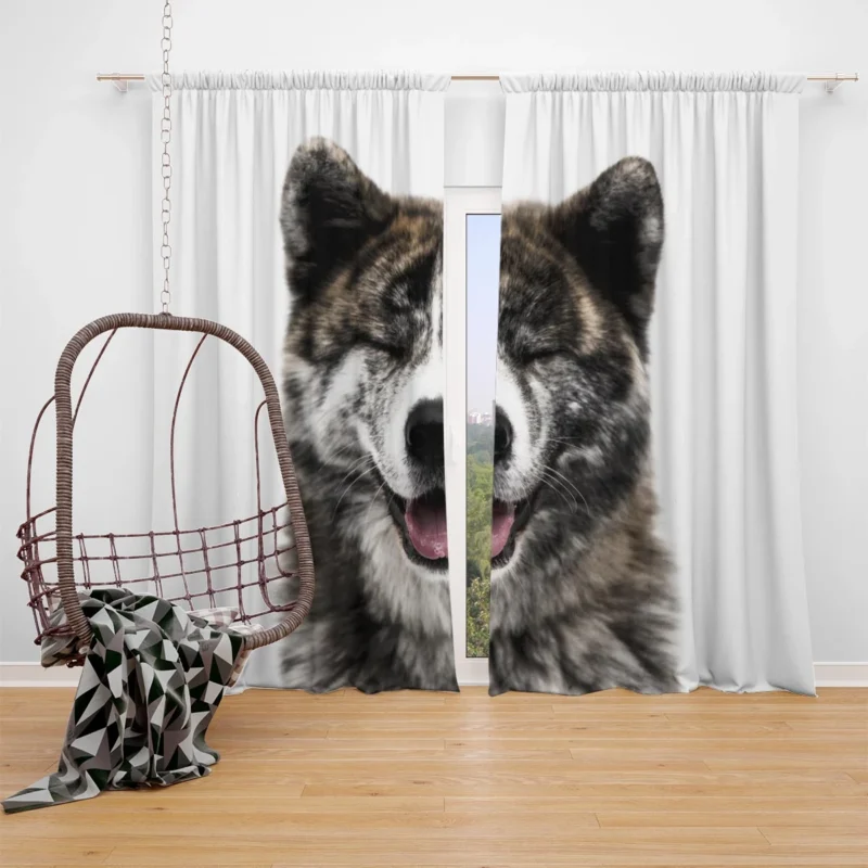 Fourfold Akita Charm: Quartet Allure Window Curtain