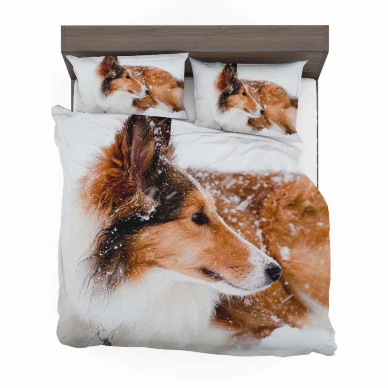 Fourfold Beauty: Rough Collie Quartet Bedding Set 1