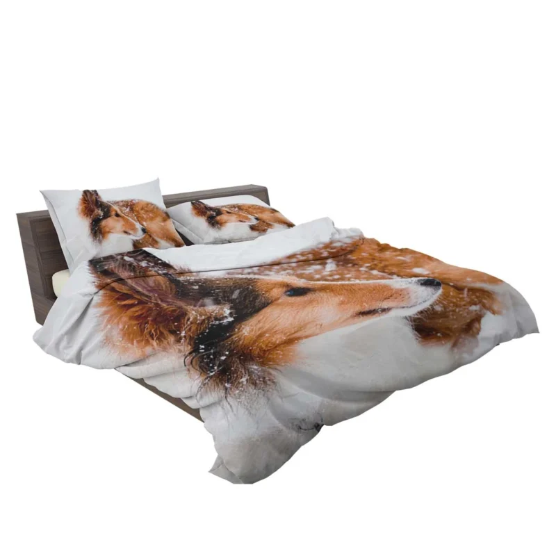 Fourfold Beauty: Rough Collie Quartet Bedding Set 2