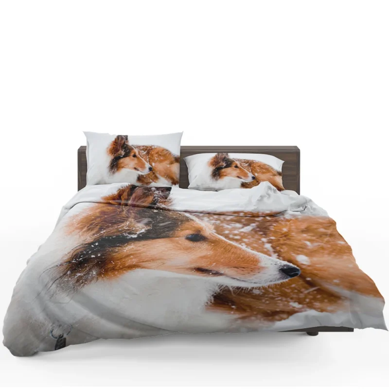 Fourfold Beauty: Rough Collie Quartet Bedding Set