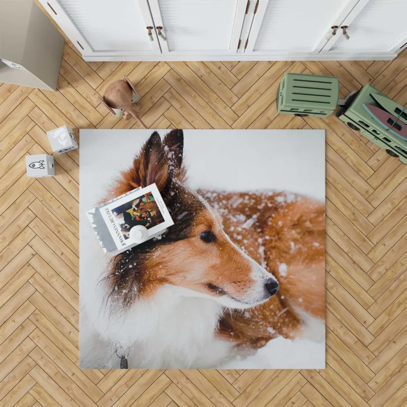 Fourfold Beauty: Rough Collie Quartet Floor Rug