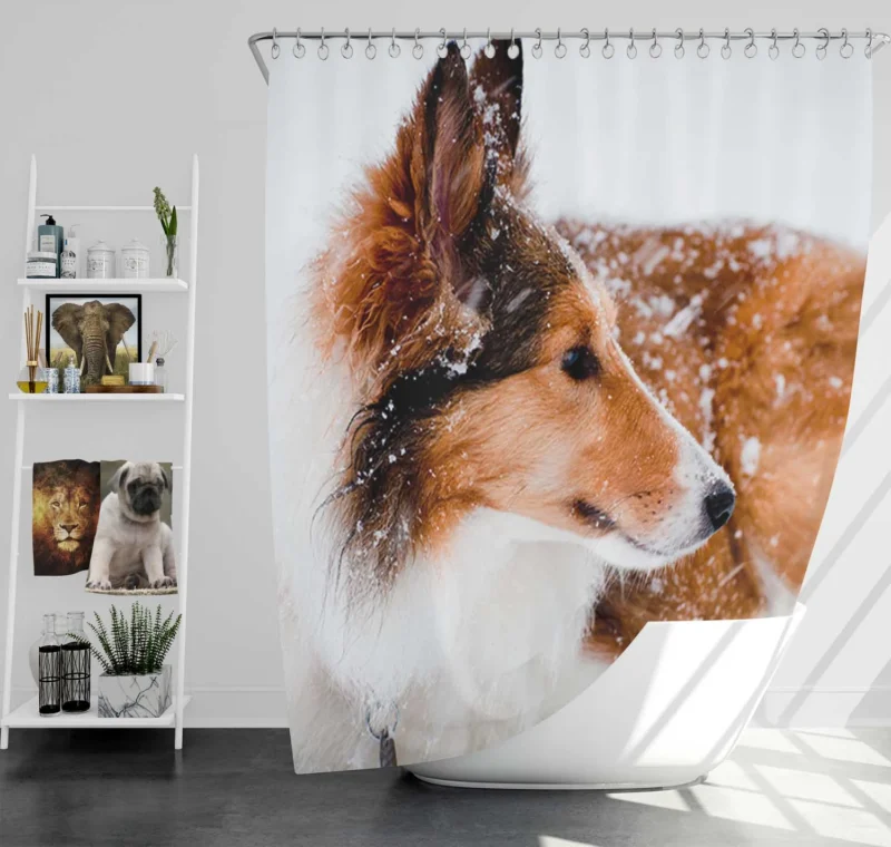 Fourfold Beauty: Rough Collie Quartet Shower Curtain