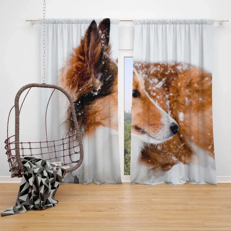 Fourfold Beauty: Rough Collie Quartet Window Curtain