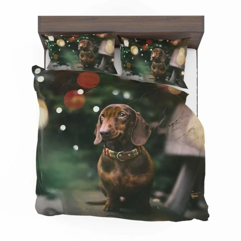 Fourfold Bokeh Beauty: Dachshund Quartet Bedding Set 1