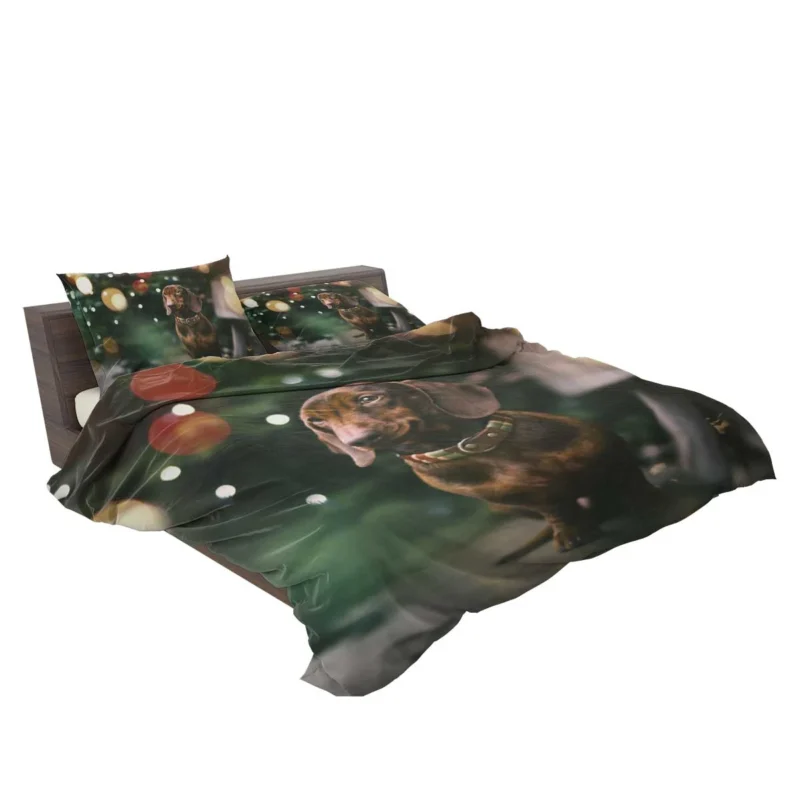 Fourfold Bokeh Beauty: Dachshund Quartet Bedding Set 2