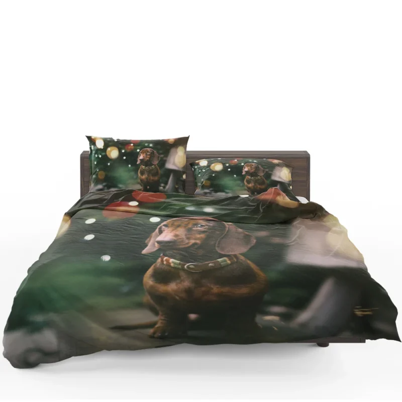 Fourfold Bokeh Beauty: Dachshund Quartet Bedding Set