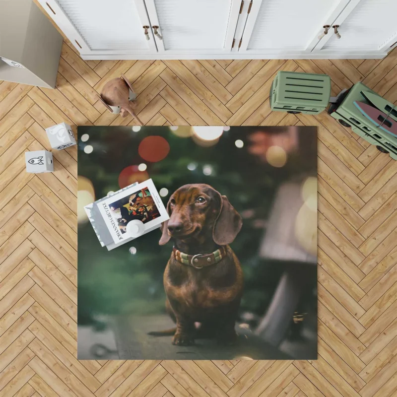 Fourfold Bokeh Beauty: Dachshund Quartet Floor Rug