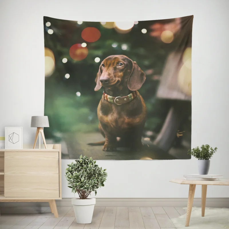 Fourfold Bokeh Beauty  Dachshund Quartet Wall Tapestry