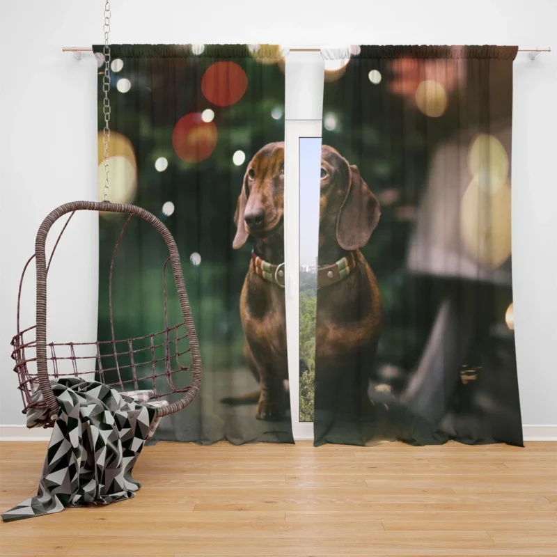 Fourfold Bokeh Beauty: Dachshund Quartet Window Curtain