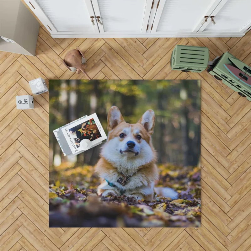 Fourfold Brave Corgi Charm Quartet Floor Rug