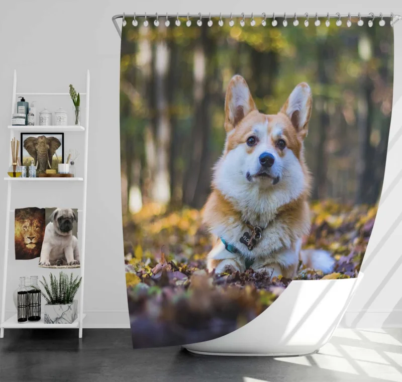 Fourfold Brave Corgi Charm Quartet Shower Curtain