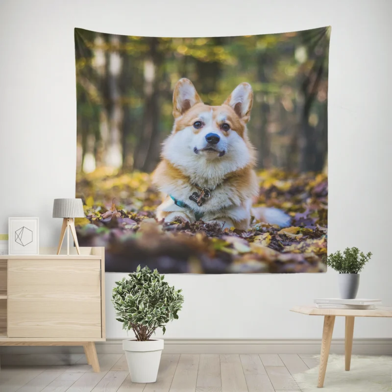 Fourfold Brave Corgi Charm Quartet Wall Tapestry