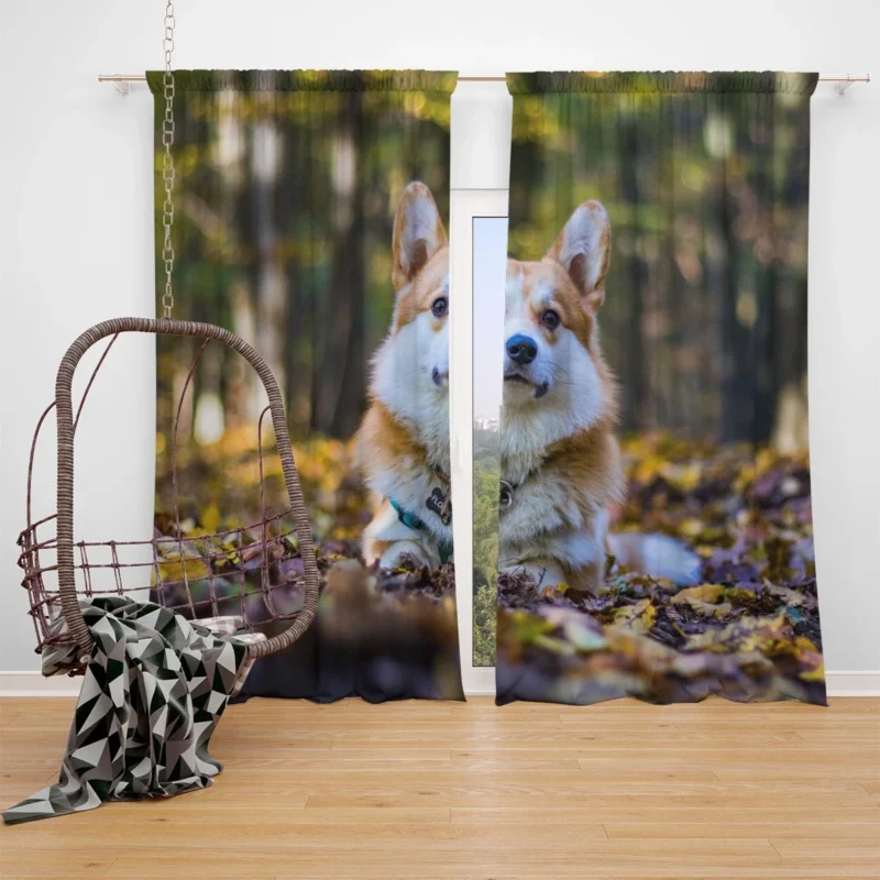 Fourfold Brave Corgi Charm Quartet Window Curtain