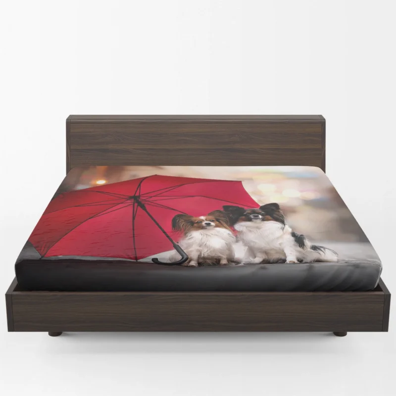 Fourfold Canine Beauty: Papillon Quartet Fitted Sheet 1