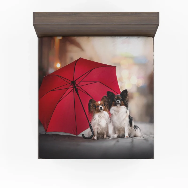 Fourfold Canine Beauty: Papillon Quartet Fitted Sheet