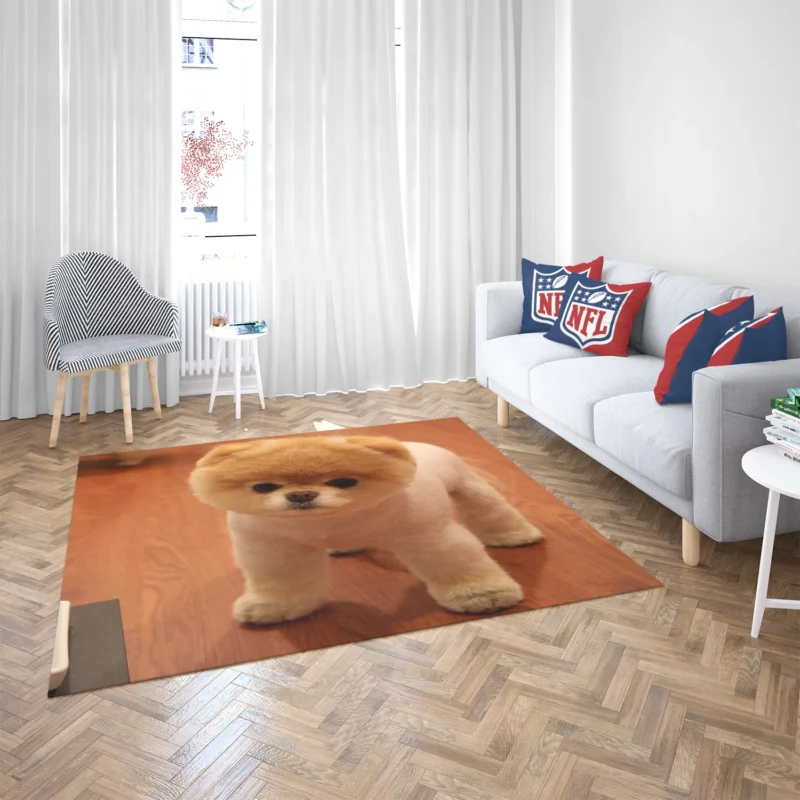 Fourfold Canine Beauty: Pomeranian Quartet Floor Rug 2