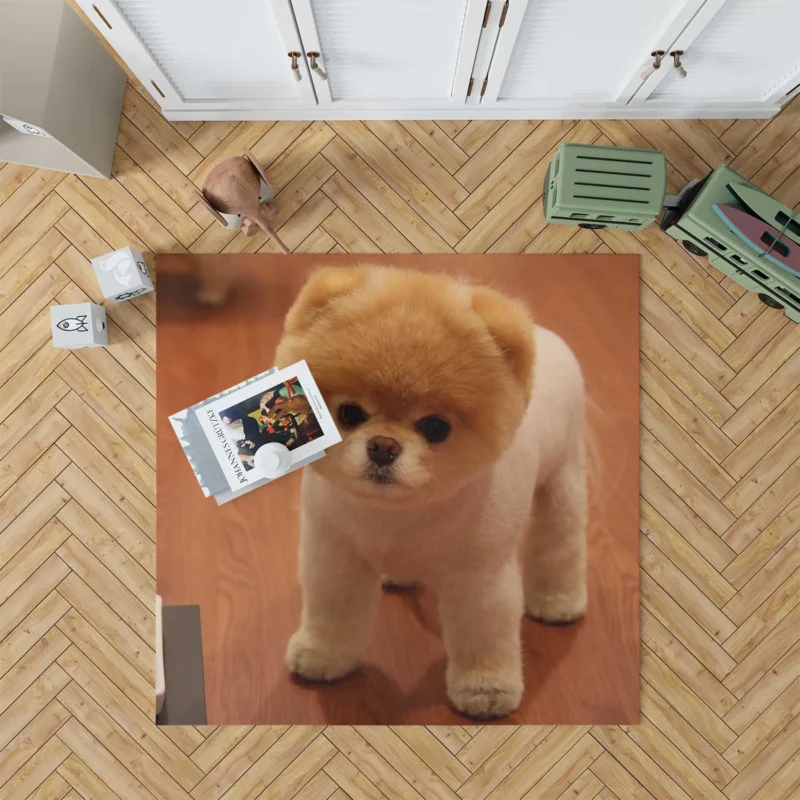 Fourfold Canine Beauty: Pomeranian Quartet Floor Rug