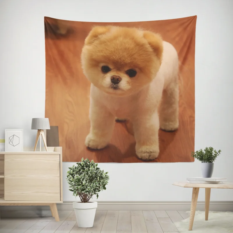 Fourfold Canine Beauty  Pomeranian Quartet Wall Tapestry