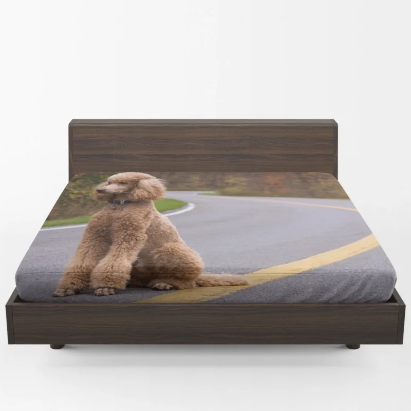 Fourfold Canine Beauty: Poodle Quartet Fitted Sheet 1