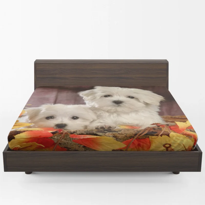 Fourfold Canine Charm: Maltese Quartet Fitted Sheet 1