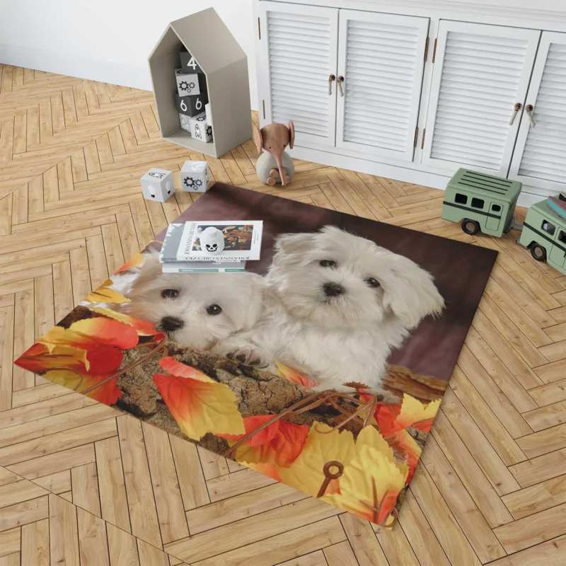 Fourfold Canine Charm: Maltese Quartet Floor Rug 1