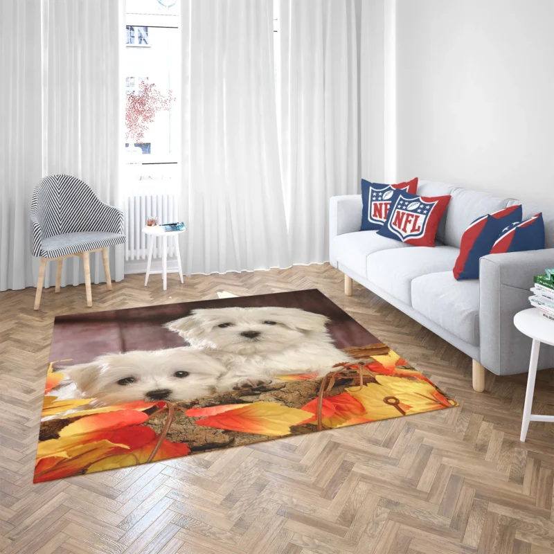 Fourfold Canine Charm: Maltese Quartet Floor Rug 2