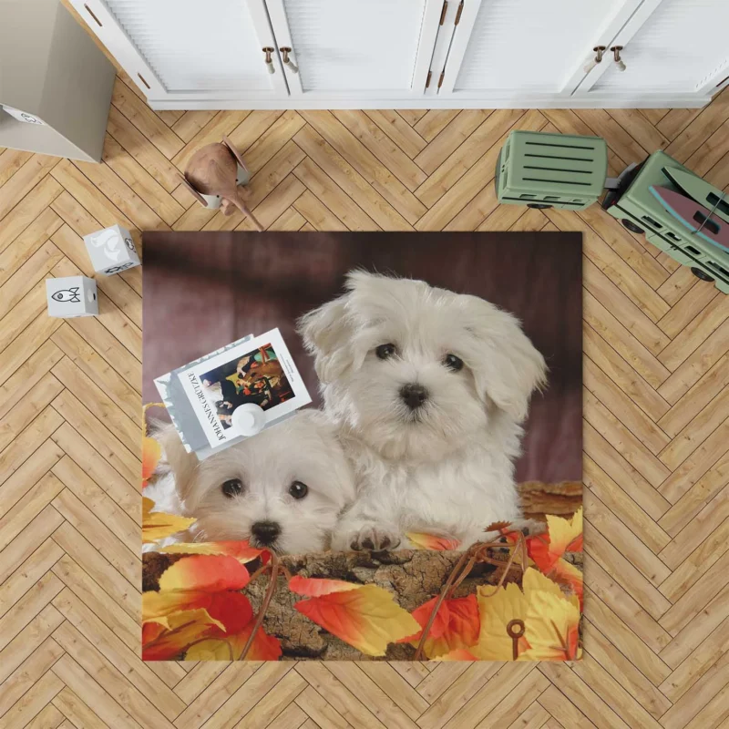 Fourfold Canine Charm: Maltese Quartet Floor Rug