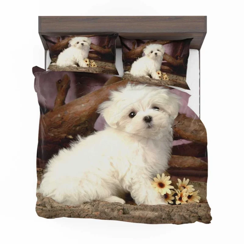 Fourfold Canine Cuteness: Maltese Puppies Bedding Set 1