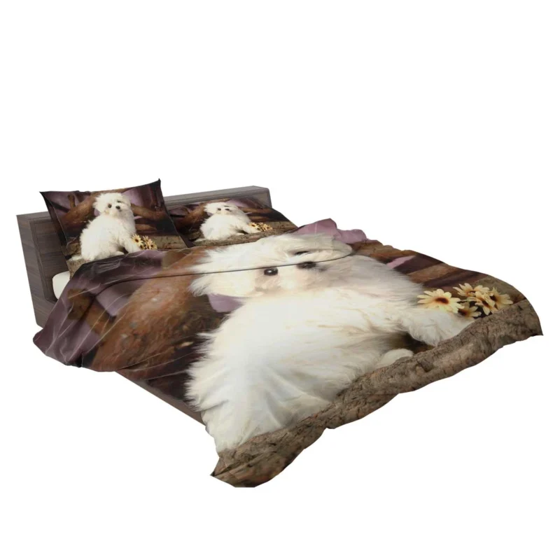 Fourfold Canine Cuteness: Maltese Puppies Bedding Set 2