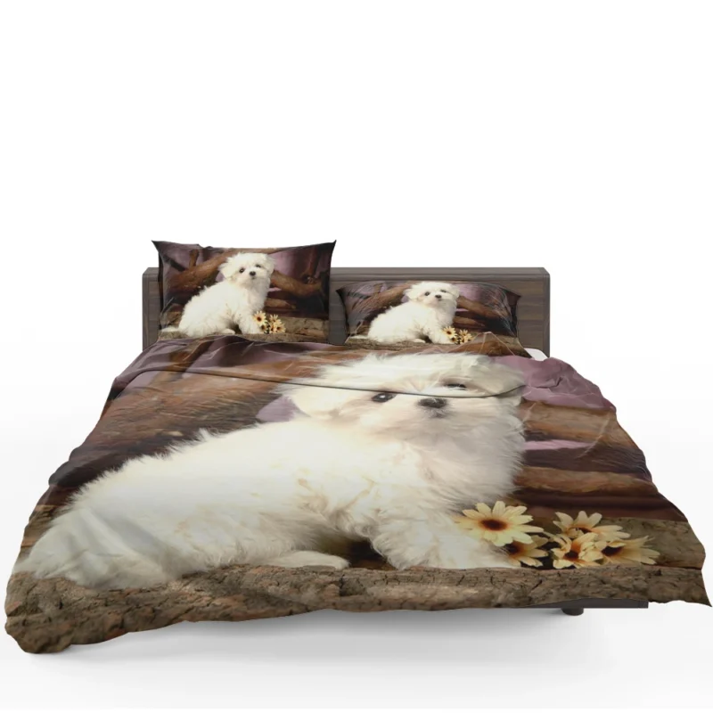 Fourfold Canine Cuteness: Maltese Puppies Bedding Set