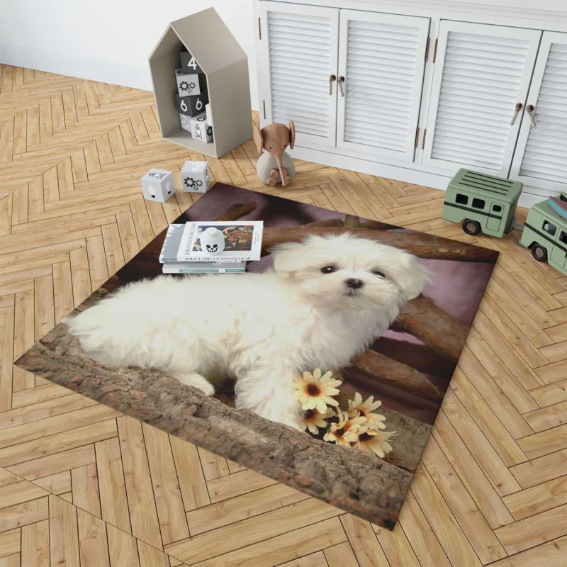 Fourfold Canine Cuteness: Maltese Puppies Floor Rug 1