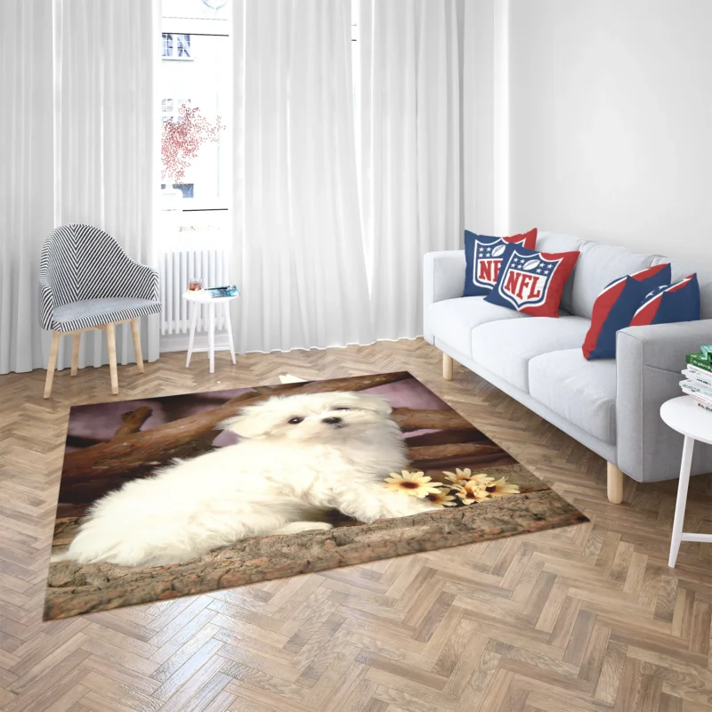 Fourfold Canine Cuteness: Maltese Puppies Floor Rug 2