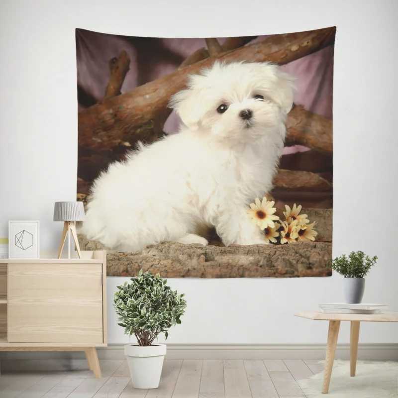 Fourfold Canine Cuteness  Maltese Puppies Wall Tapestry